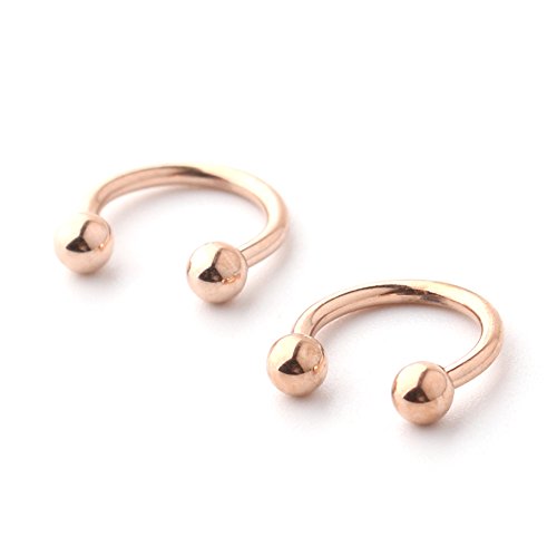 Ruifan 16G 8mm Rose Gold CBR Horseshoe Circular Rings 316L Surgical Steel for Lip Eyebrow Tongue Nipple Helix Tragus Cartilage Septum Piercing Jewelry 2PCS